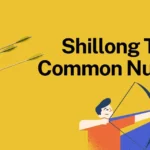 shillong teer common number