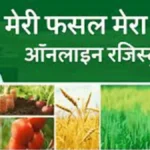 मेरी फसल मेरा ब्यौरा