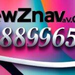 newznav.com 8888996650