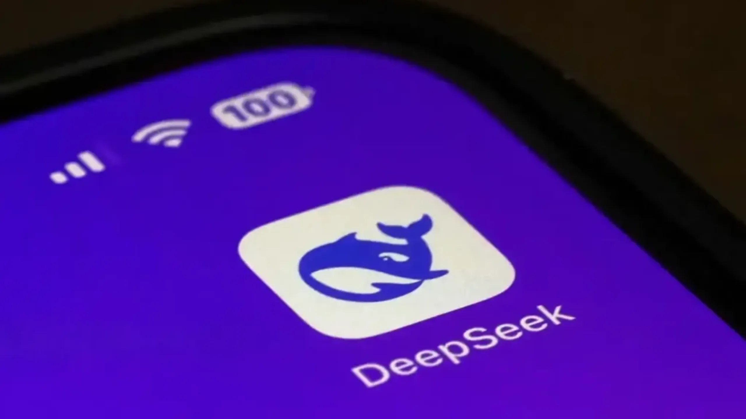deepseekplay com