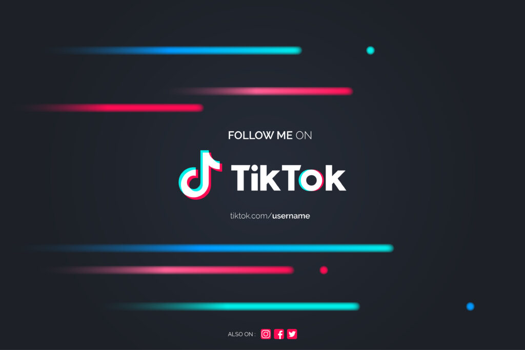 TikTok Story Viewer