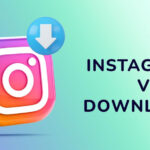 Best Instagram Video Downloaders in 2026